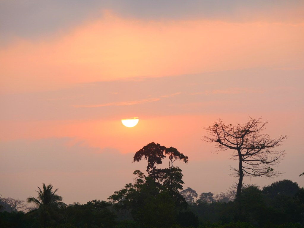 A New Year and New Perspective in Cote D´Ivoire