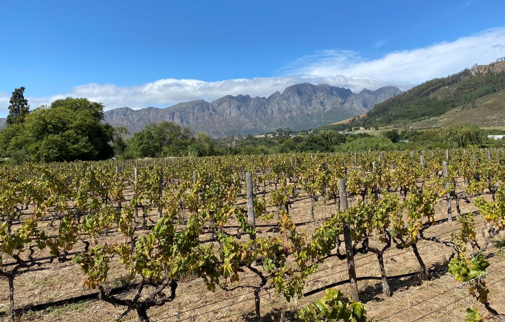 In Our Element – Exploring the Wine&nbsp;Country