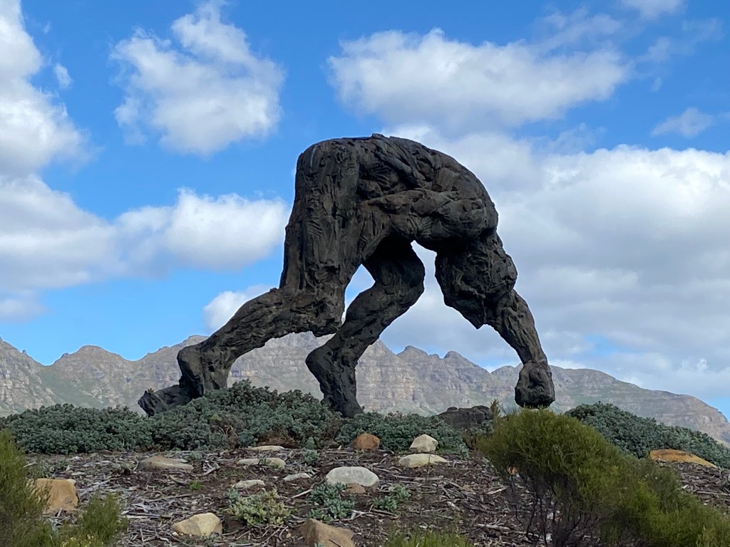 Busy Doing Nothing in the Western&nbsp;Cape