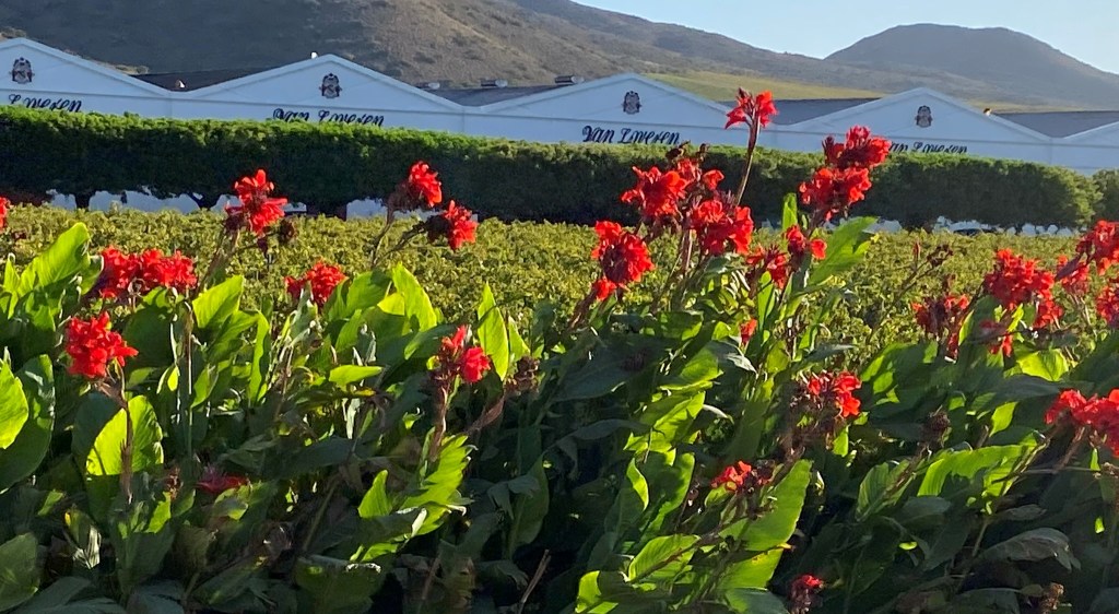 Soaking up the Scenery on the Garden&nbsp;Route