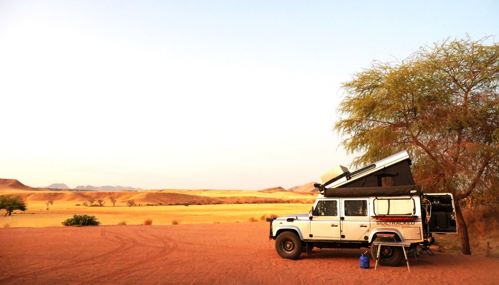 Sand Dunes and&nbsp;Whales
