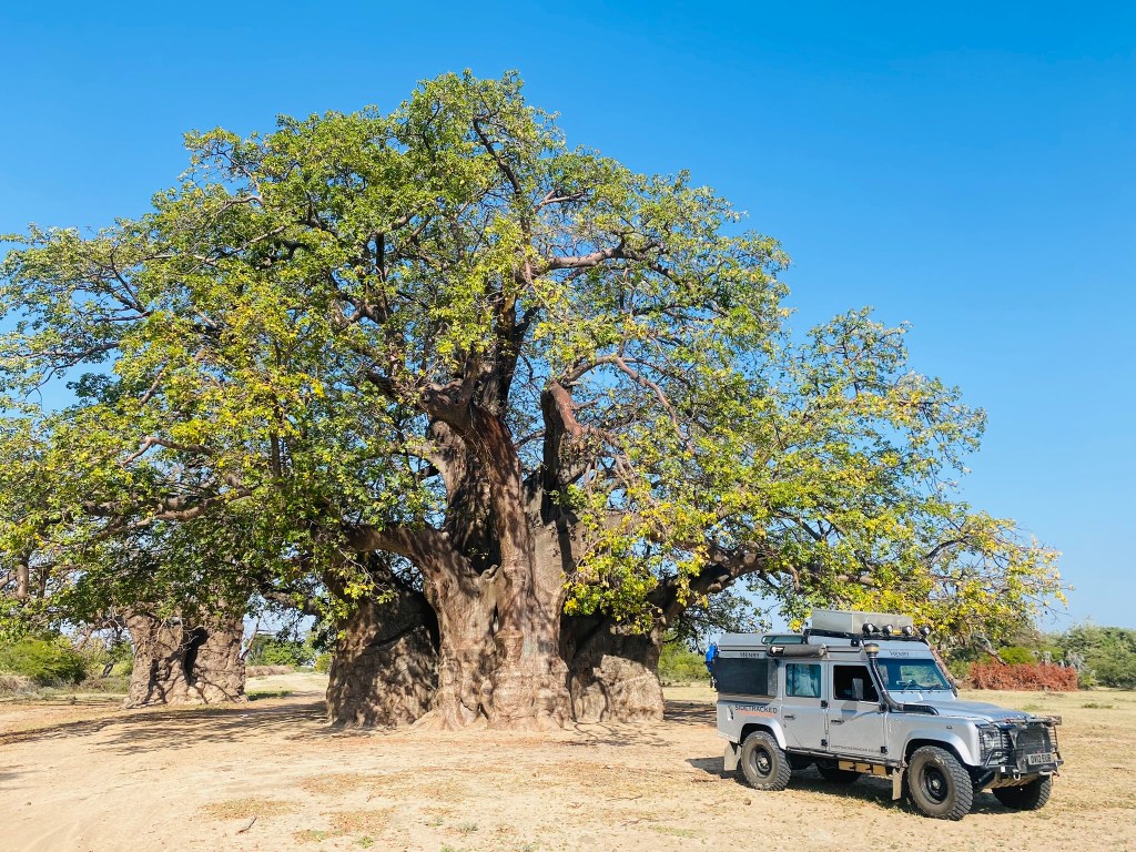 A Crash Landing in&nbsp;Angola