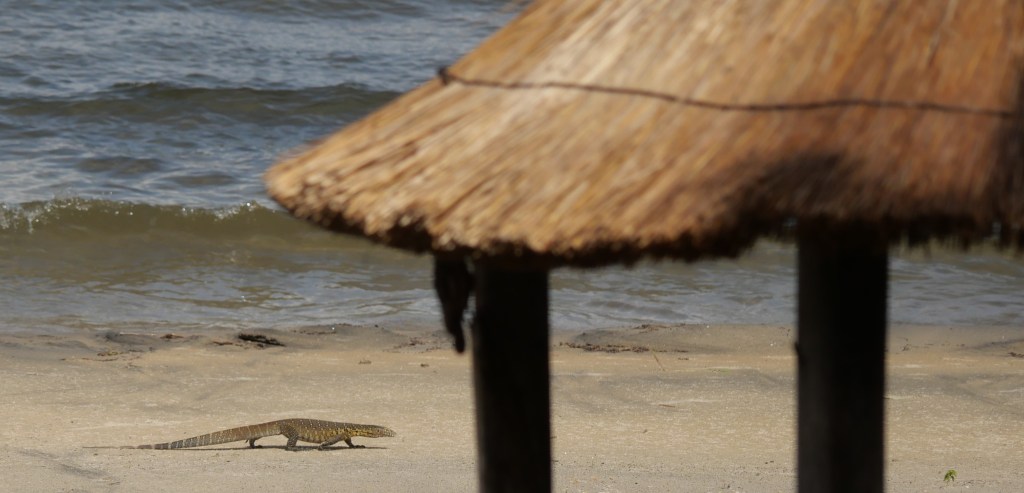 The Warm Heart of&nbsp;Africa