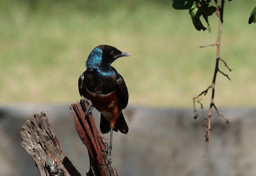 The Beginning of the&nbsp;End?