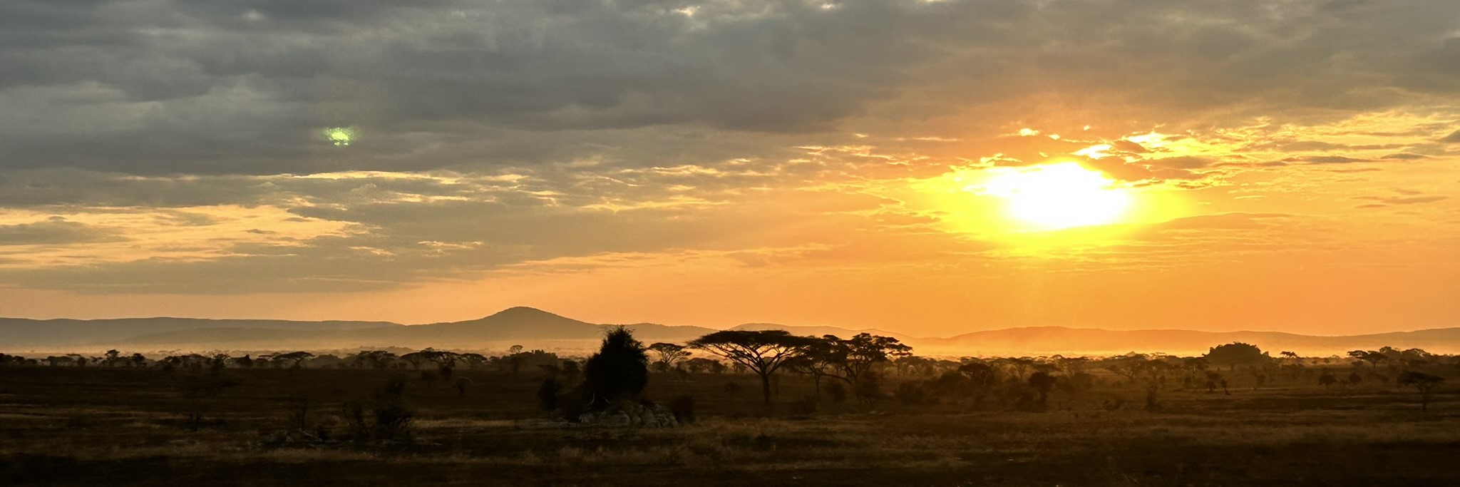 The Serengeti