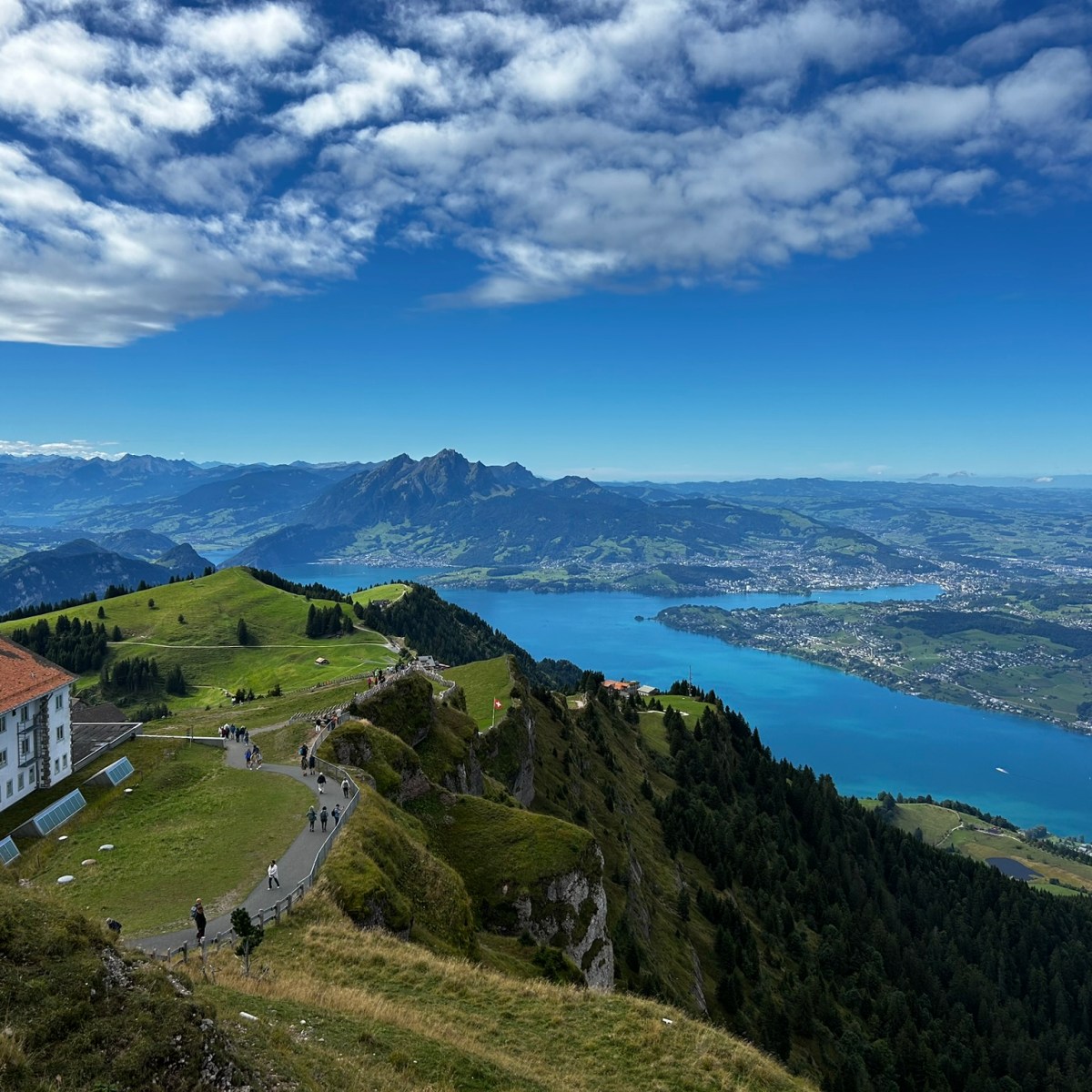 An Udderly Swiss&nbsp;Conundrum