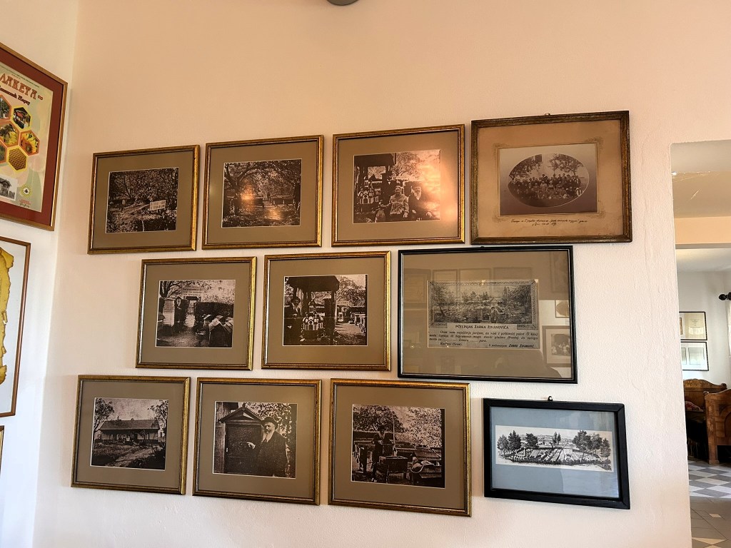 A collection of vintage black and white photographs in gold and black frames displayed on a wall, featuring various historical scenes and portraits.