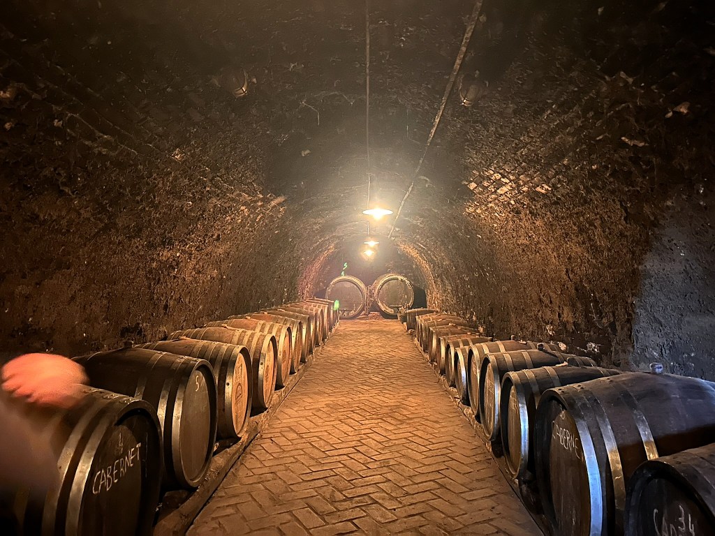 Interior view of a wine cellar with rows of wooden barrels along the brick floor, dimly lit with a warm glow and brick archway ceiling.