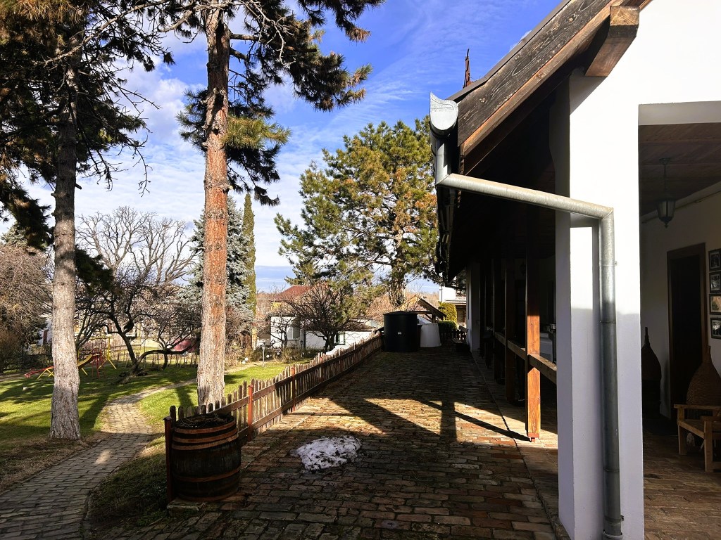 A sunny outdoor area showing a pathway bordered by wooden fencing, trees, and a house. The house features a stone path and a rainwater gutter, with a barrel resting on the ground.