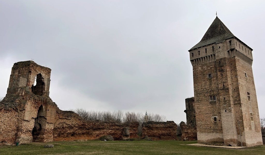 A historic castle ruin featuring a partially intact tower and crumbling walls, set against a cloudy sky.