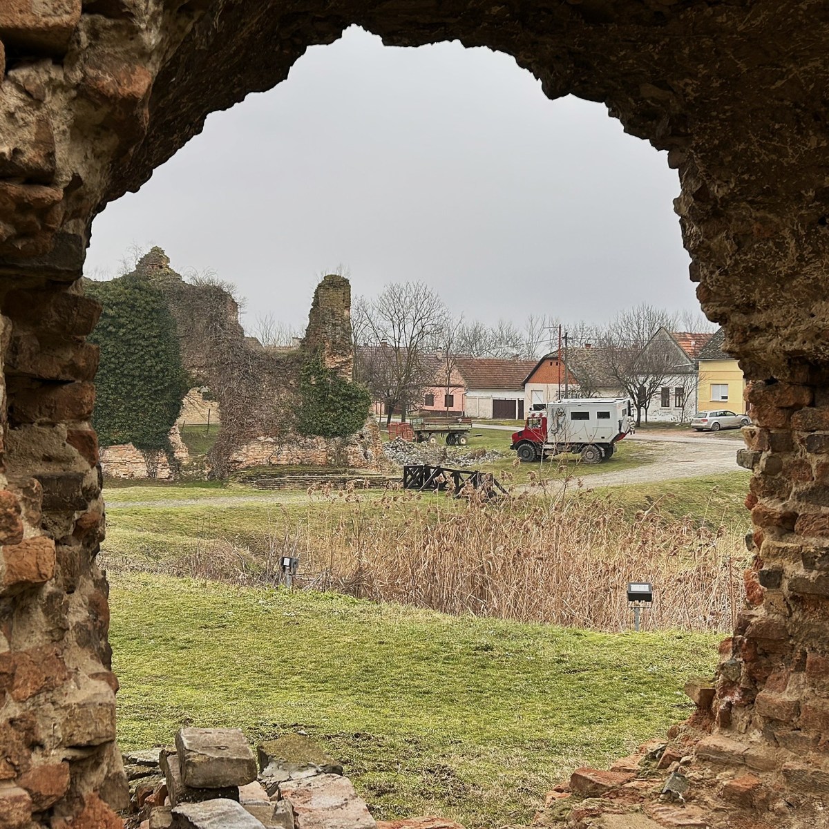 Beauty Amid Adversity