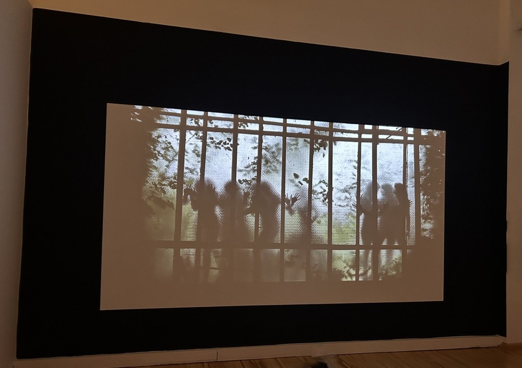 Silhouettes of figures behind a textured screen, with greenery visible in the background, projected onto a dark wall.