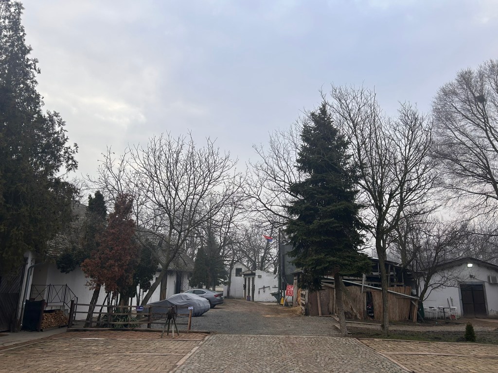 A quiet farmyard scene featuring bare trees and a gravel pathway leading to white buildings under a cloudy sky.