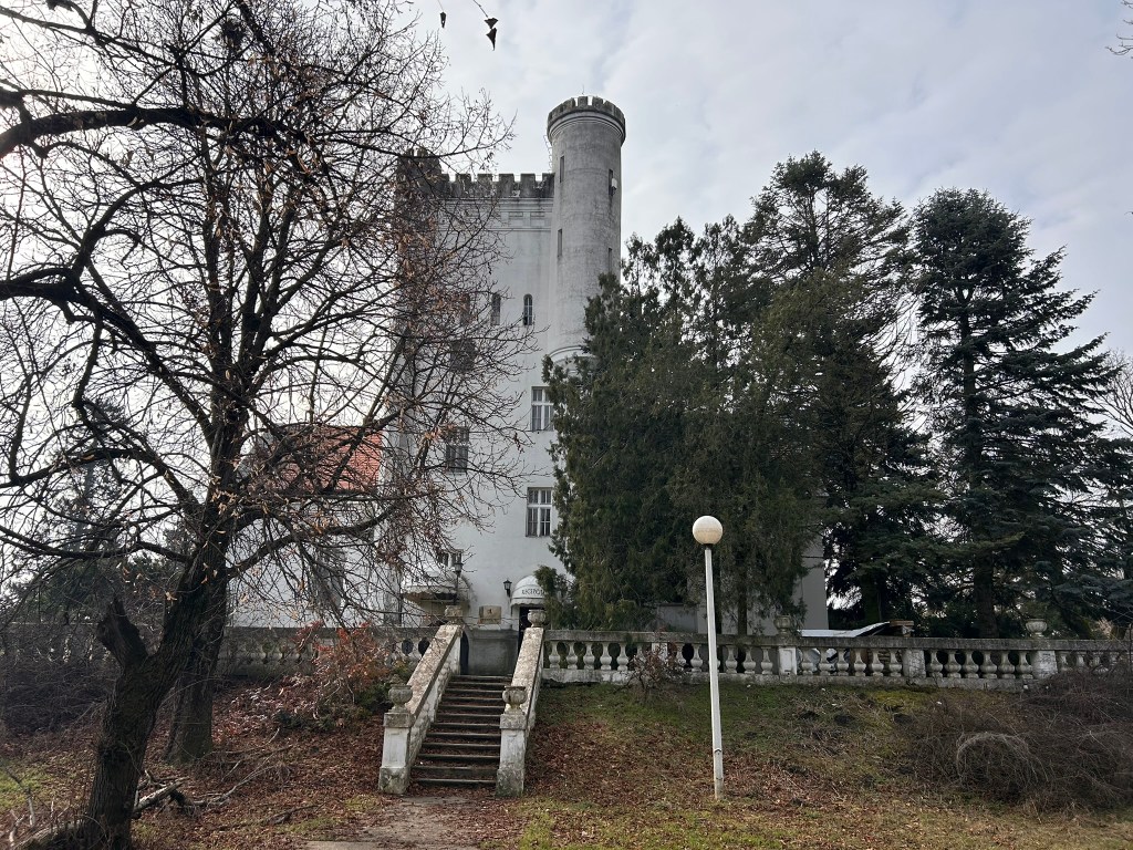 A view of a tall, historic castle surrounded by trees, featuring a staircase leading to its entrance, under a cloudy sky.