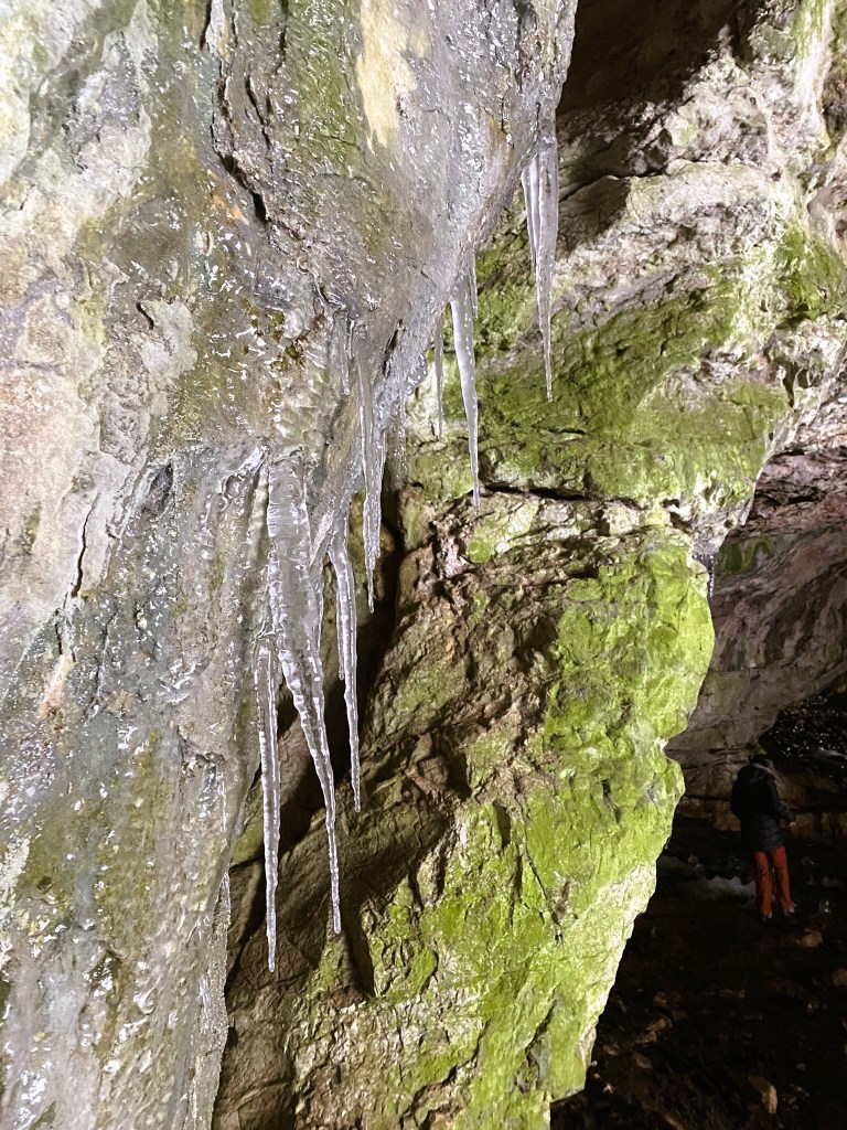 Icicles hanging from a rocky wall inside a cave, with green moss and a person in the background.