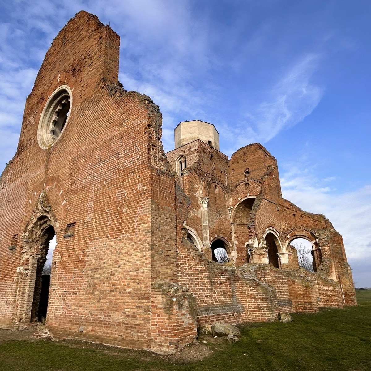 The First Buds of&nbsp;Hope