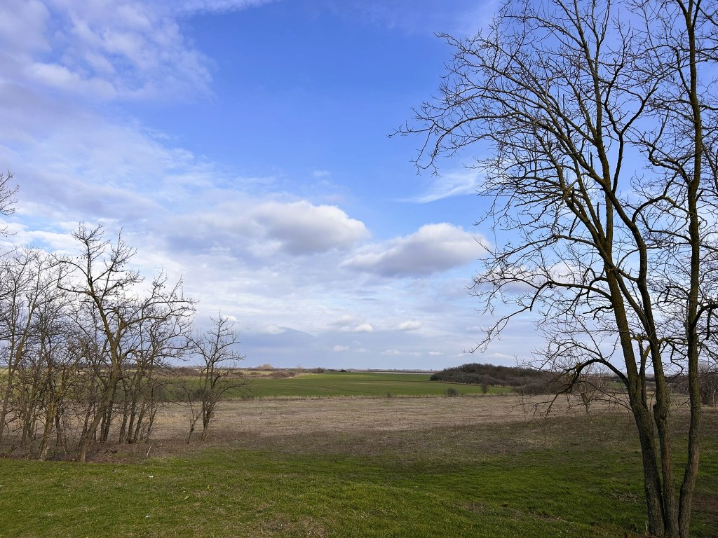 A landscape view featuring bare trees on the left, a grassy field, and a blue sky with scattered clouds.