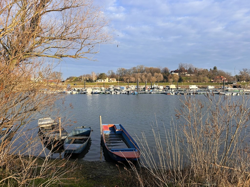 A view of a tranquil river with several moored boats and a background of trees and houses on a hillside under a cloudy sky.