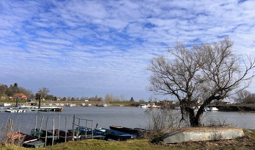 Scenic view of a river with moored boats and a bare tree on the bank, under a cloudy sky.