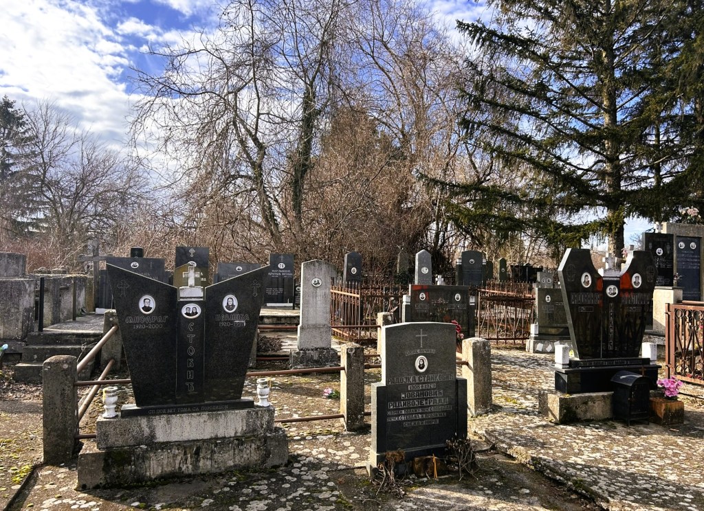 A serene cemetery scene featuring various gravestones, including large black monuments, surrounded by bare trees and a blue sky with clouds.