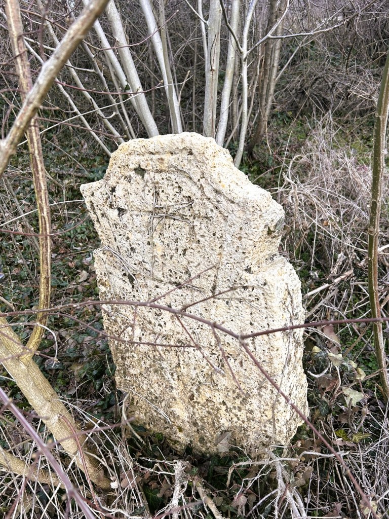 An old, weathered stone standing amidst sparse vegetation and branches in a woodland area.