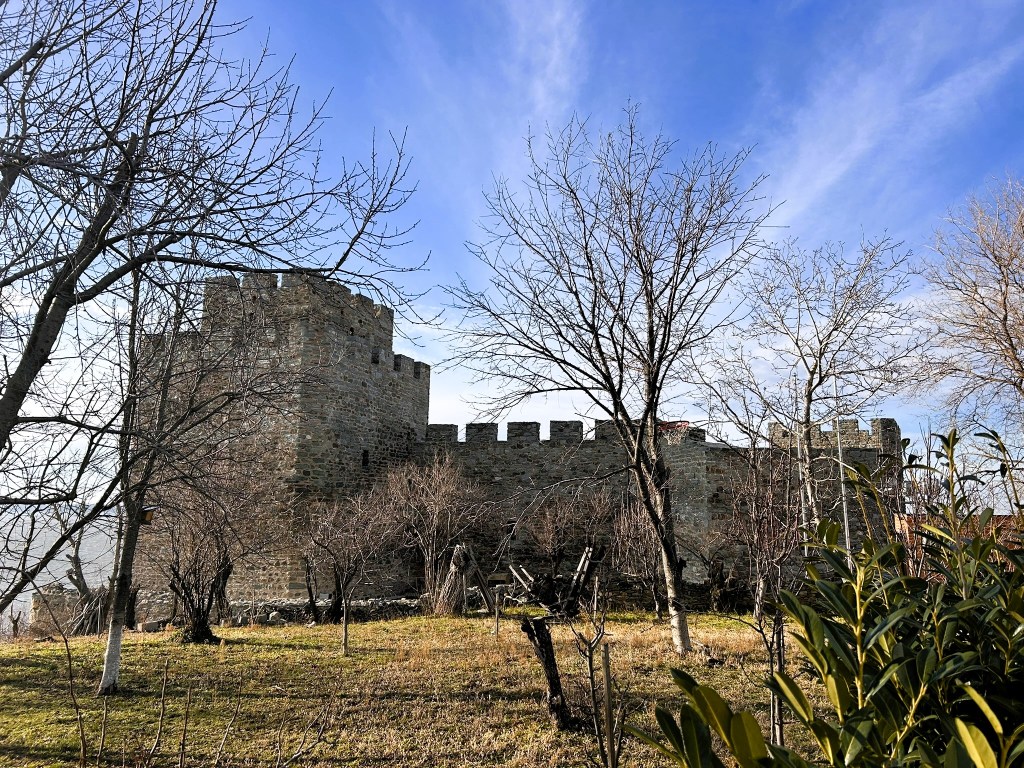 A view of a stone castle surrounded by bare trees and greenery under a blue sky.