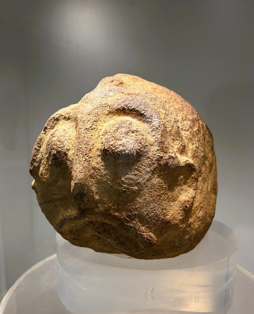 A weathered stone sculpture resembling a human face, displayed on a glass pedestal.