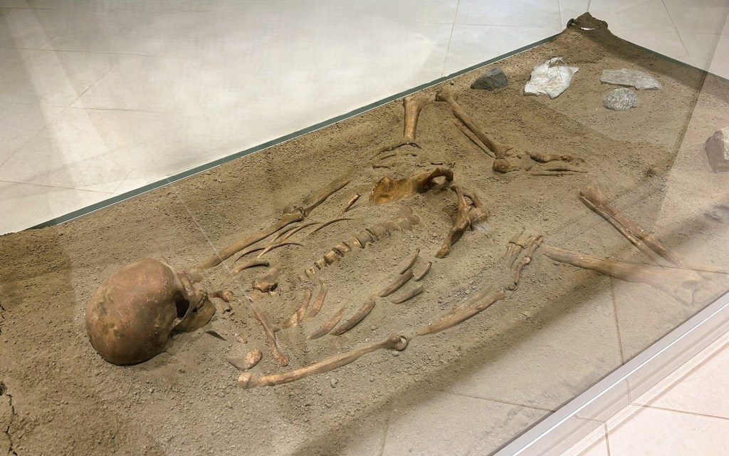 An ancient skeleton displayed in a glass case, surrounded by dirt and a few stones, in a museum setting.