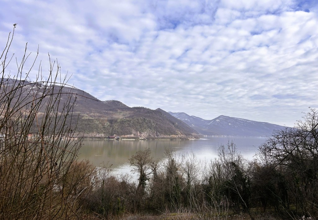 A scenic view of a lake surrounded by mountains under a cloudy sky, with trees in the foreground.