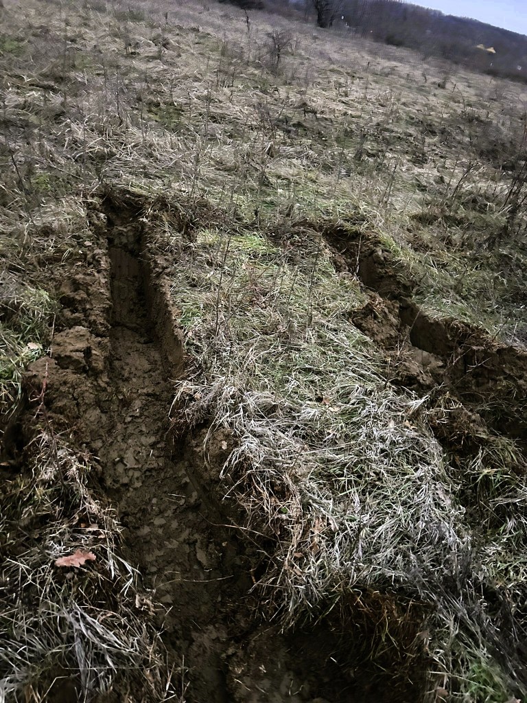 A trench in a grassy field, showing disturbed soil and sparse vegetation.