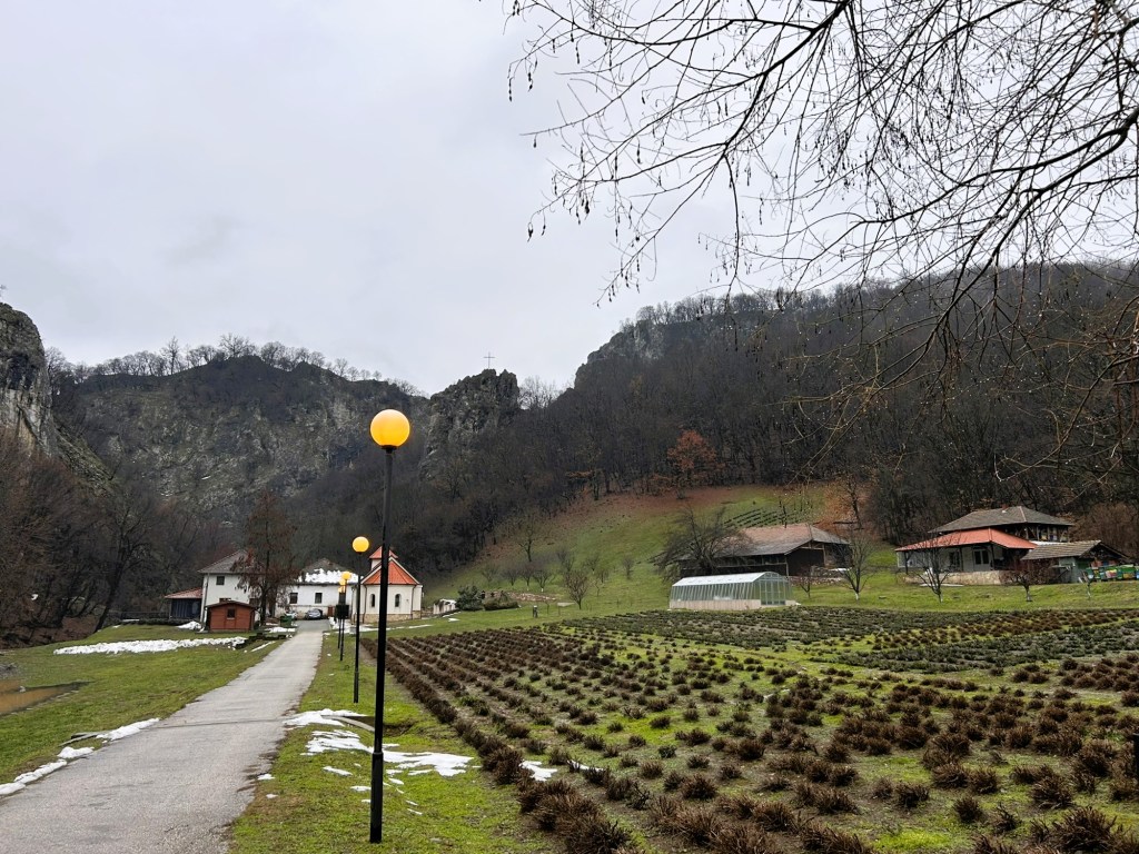 A scenic landscape featuring a pathway lined with street lamps, leading towards several buildings and green fields. The background showcases rocky hills and scattered trees under a cloudy sky.