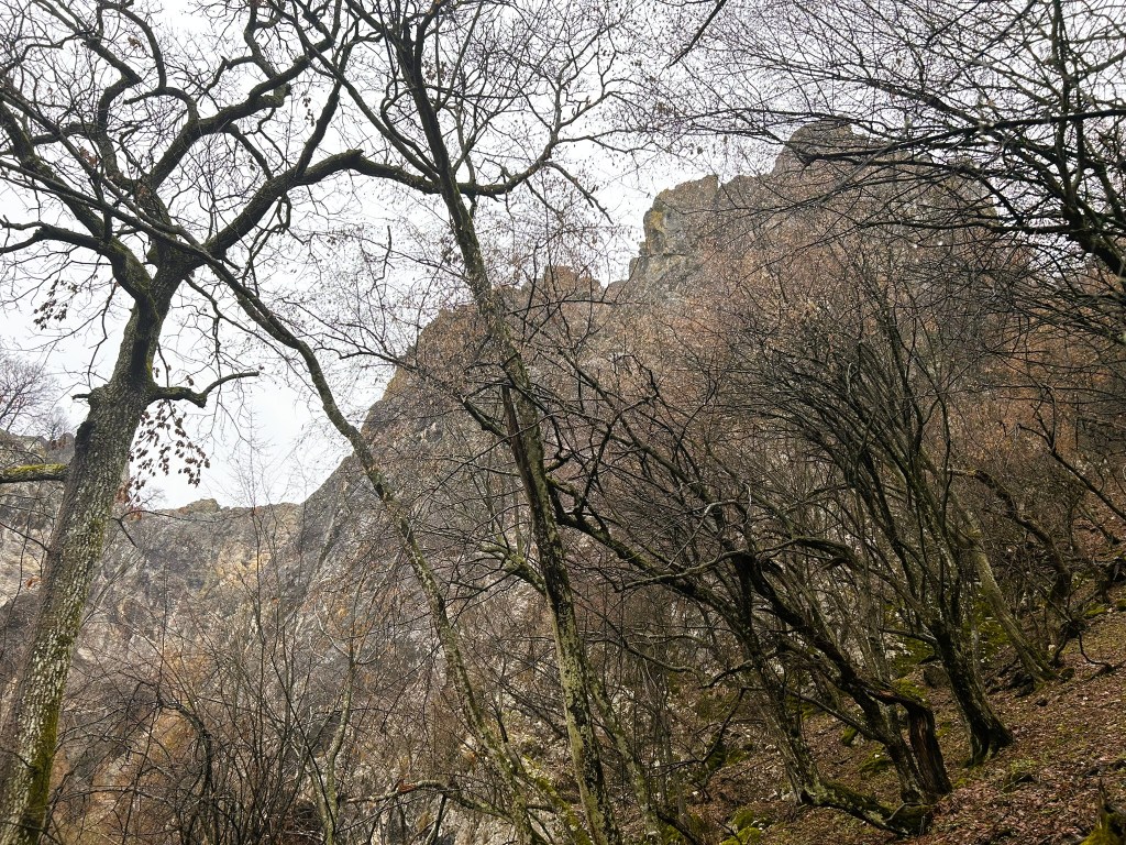 A view of a rocky cliff surrounded by bare trees in a forest during an overcast day.