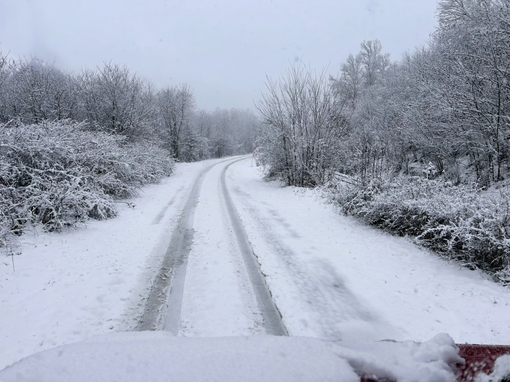 A snow-covered lane winding through a forest, with trees and bushes blanketed in white snow.