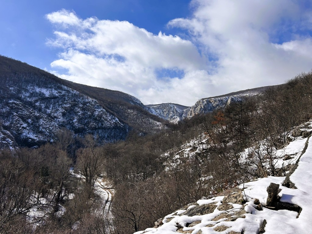 A snowy landscape with rugged mountains in the background and a winding path through bare trees in the foreground under a cloudy sky.