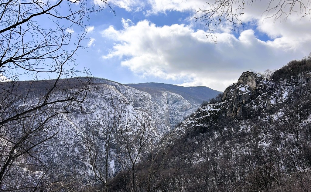 A scenic view of snow-covered mountains under a cloudy sky, partially obscured by bare trees in the foreground.