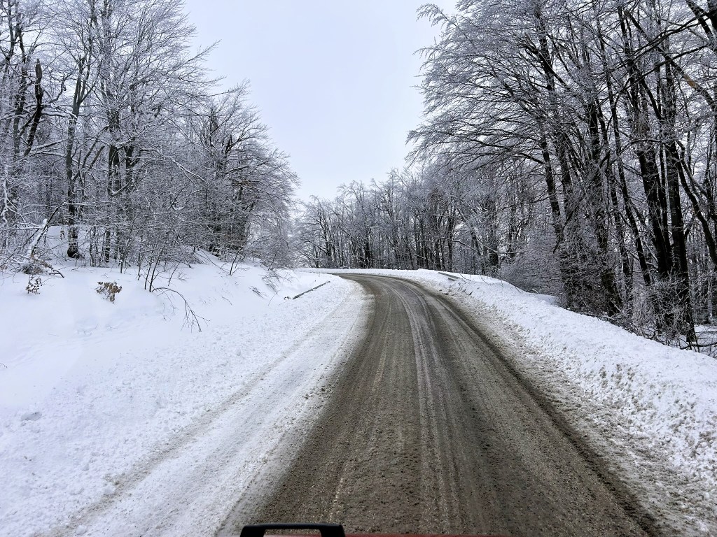 A snowy, winding road surrounded by frost-covered trees on a cloudy day.