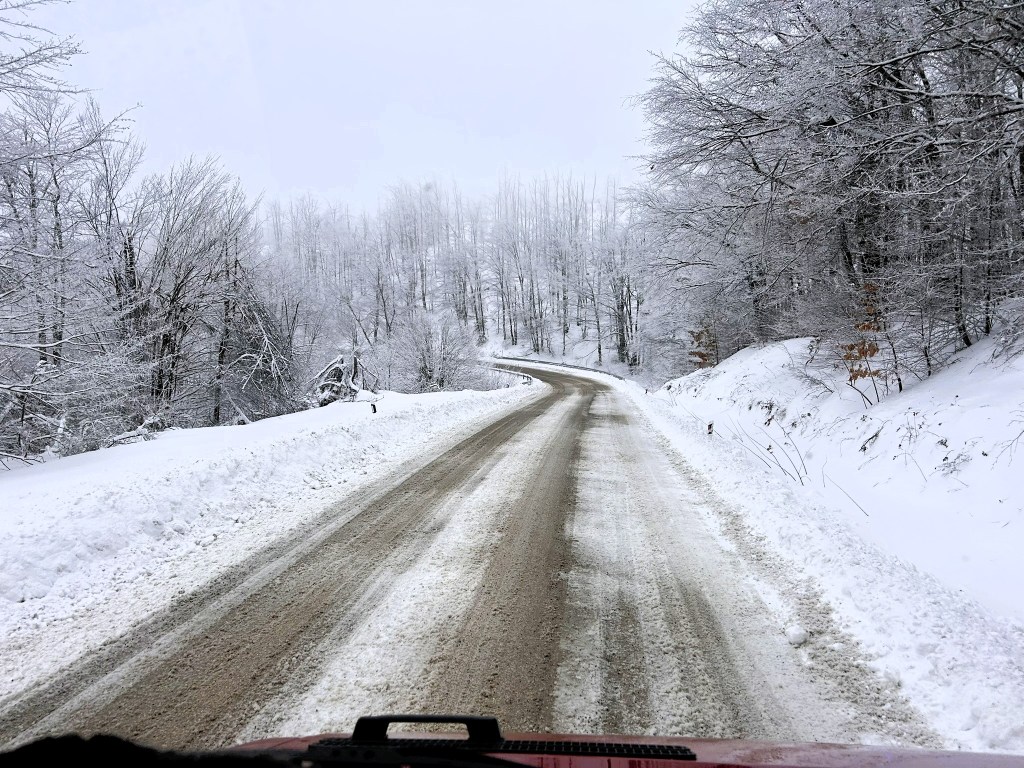 A winding, snow-covered road surrounded by trees lightly coated with frost, creating a serene winter landscape.
