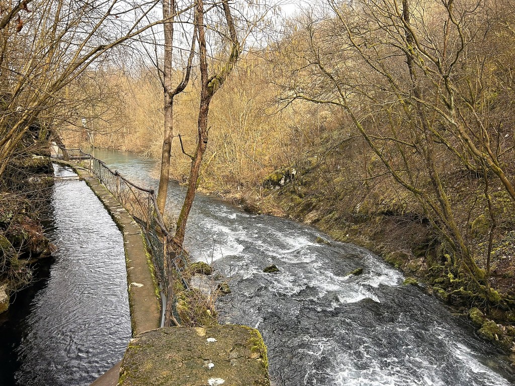 A tranquil riverscape featuring a flowing river bordered by bare trees, with a narrow pathway alongside the water.