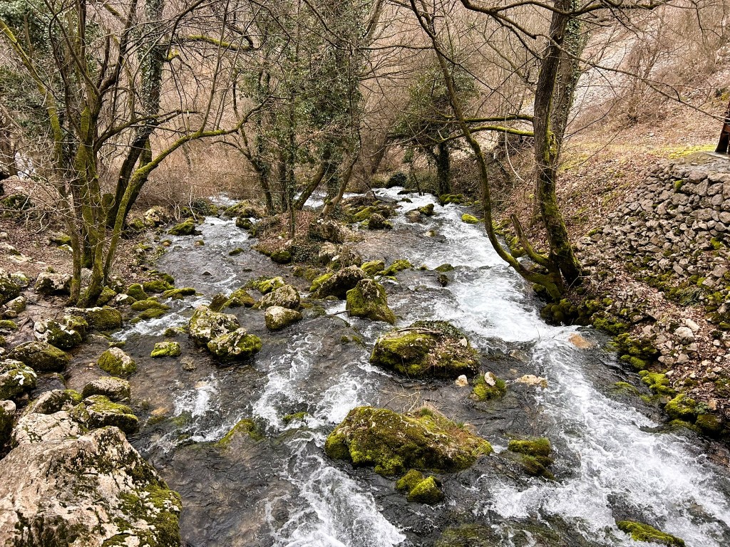 A serene river flowing over rocky terrain, surrounded by bare trees and patches of moss, set in a natural landscape.