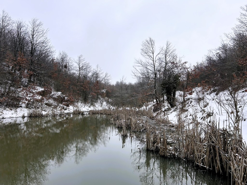 A serene winter landscape featuring a calm river bordered by snow-covered banks and bare trees, with patches of dried reeds along the water's edge.