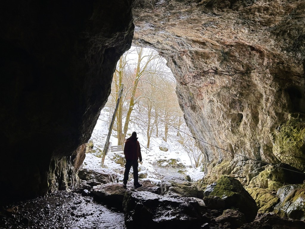 A person standing at the entrance of a cave, silhouetted against a snowy landscape with trees in the background.
