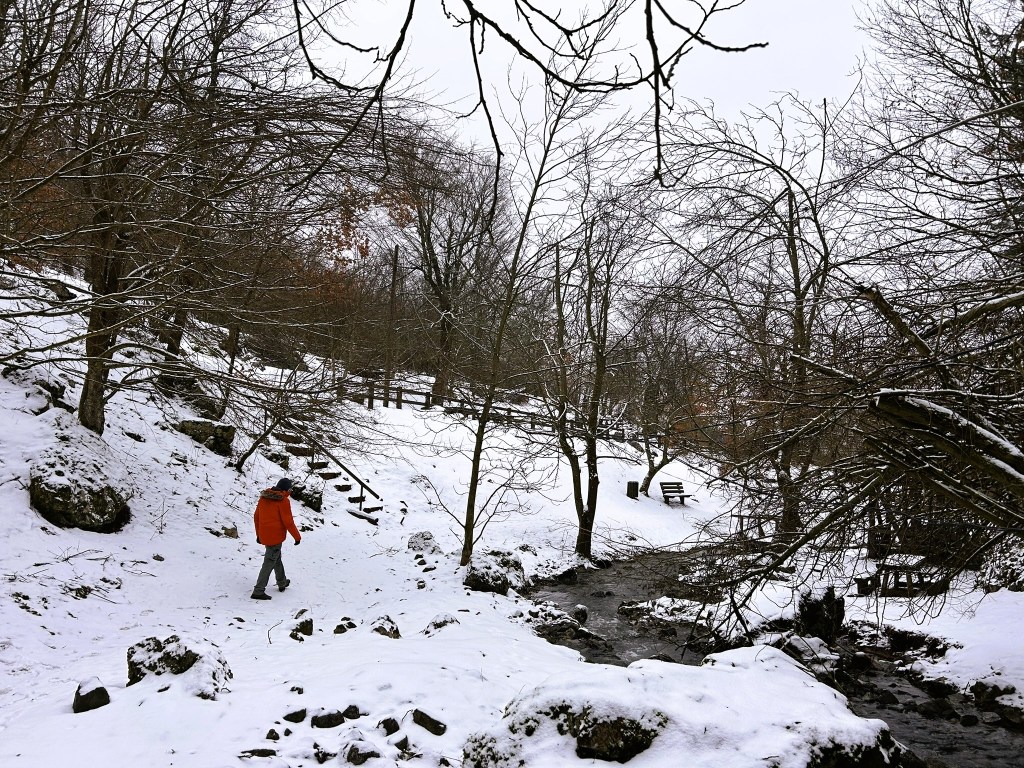A person in an orange jacket walking along a snowy path near a stream in a winter landscape with bare trees and a bench in the background.