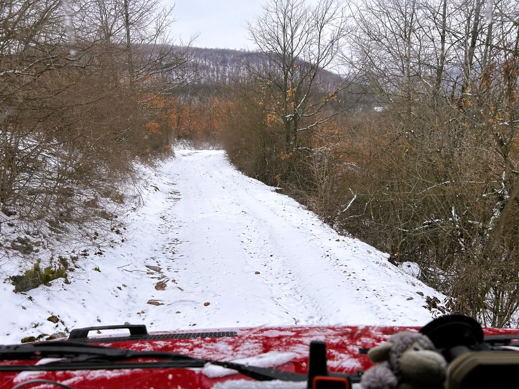 View from inside a vehicle looking down a snow-covered forest track, with trees lining both sides.