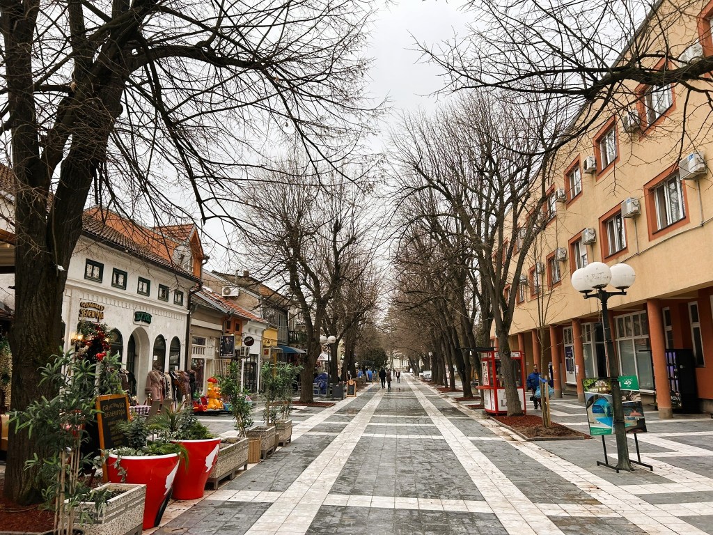 A tree-lined street featuring shops and cafes, adorned with planters and decorative elements, under a cloudy sky.