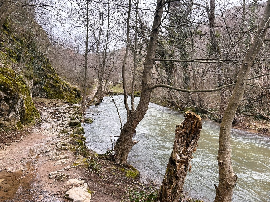 A scenic view of a river winding through a wooded landscape, with rocky banks and bare trees along the water's edge.