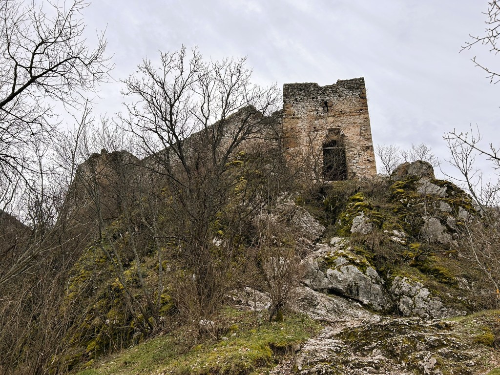 A view of a dilapidated stone castle on a hillside, surrounded by bare trees and rocky terrain under a cloudy sky.