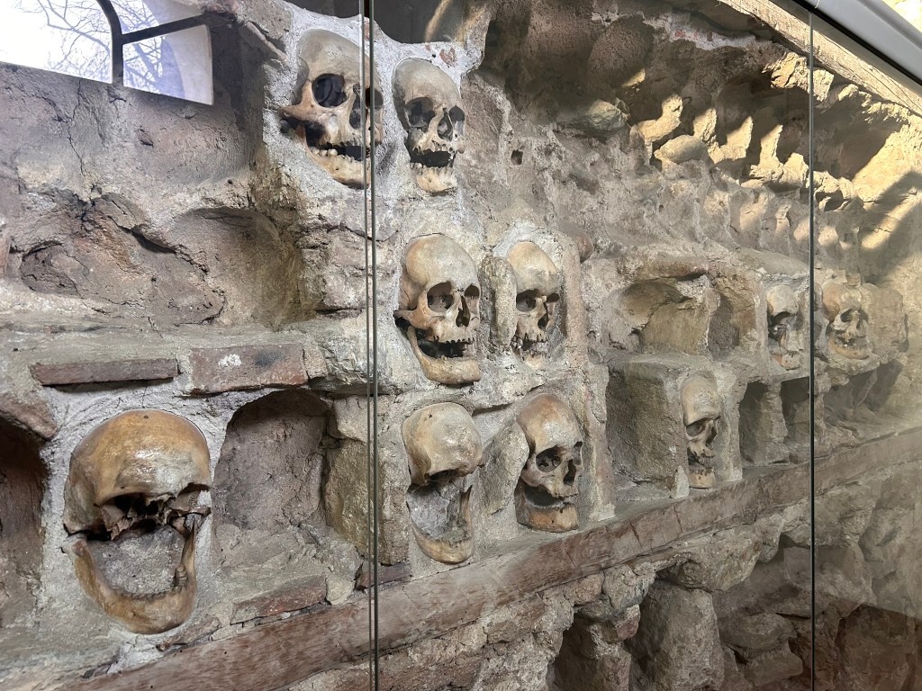 A display of multiple skulls set in a stone wall, showcasing various positions and conditions of the remains.