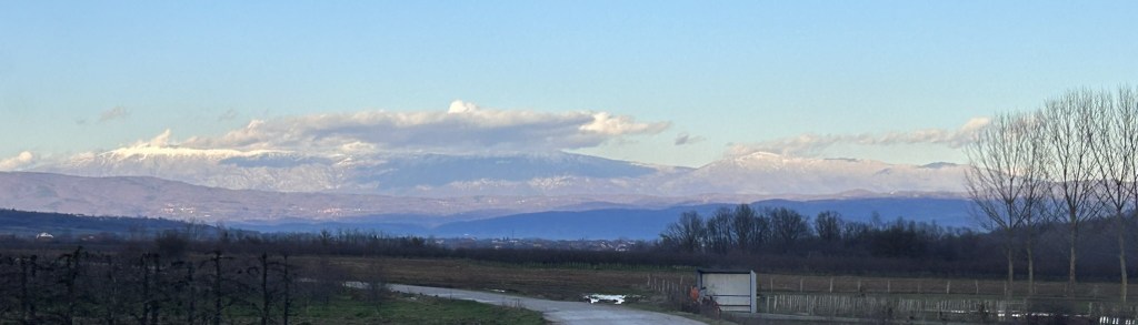 Panoramic view of snow-capped mountains under a clear blue sky, with a rural landscape in the foreground featuring bare trees and a winding path.