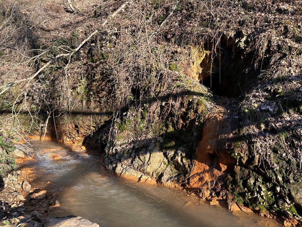 A shallow stream flowing through a rocky landscape with reddish-brown mineral deposits and overhanging vegetation.