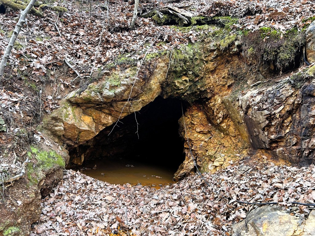 Entrance to a dark cave surrounded by autumn leaves and rocky terrain.